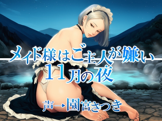 Cover of メイド様はご主人が嫌い 11月の夜